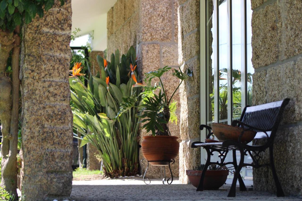 The Oak'S Wolf-Country House Fafe Exterior photo